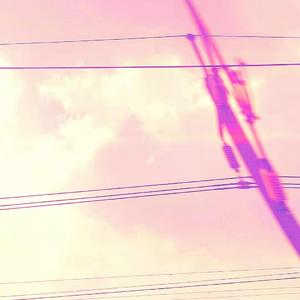 国产与亚洲成人网站
