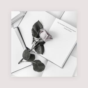 国产与亚洲成人网站
